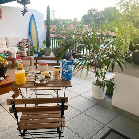 Chambre D'Hote Cosy Hiriburu Saint-Pierre-dʼIrube Екстериор снимка